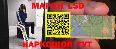 гидропоника Дубна