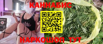 гидропоника Дубна