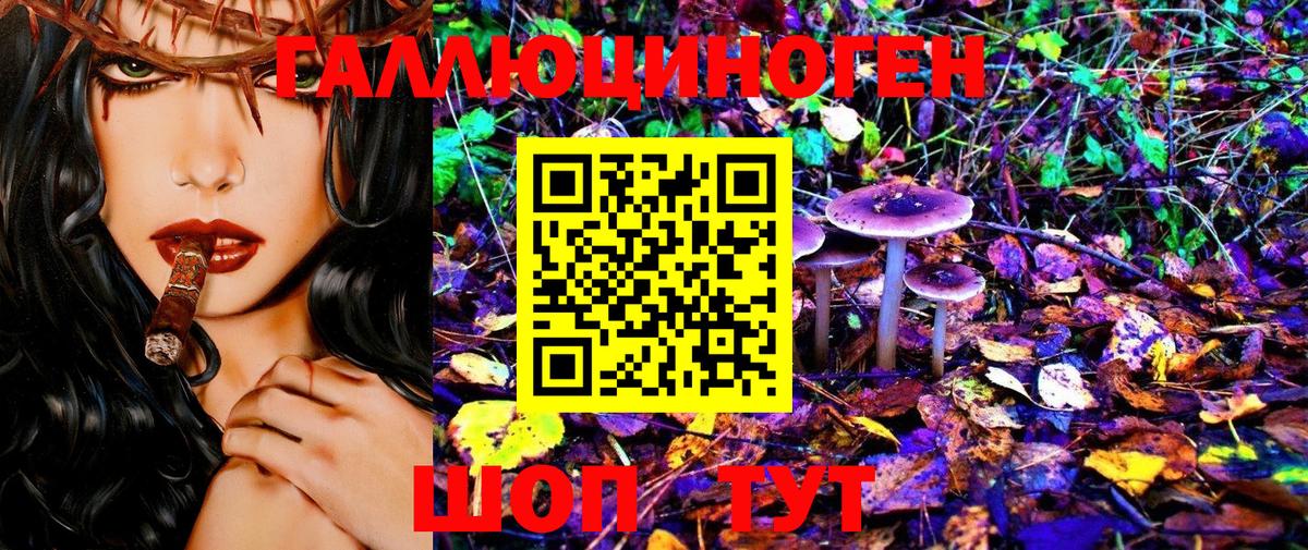 Галлюциногенные грибы MAGIC MUSHROOMS Луга
