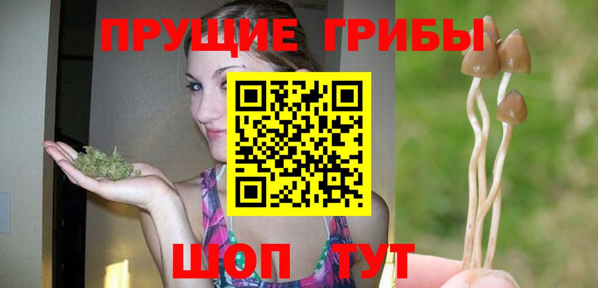 Галлюциногенные грибы мухоморы  Вход с VPN  Луга 